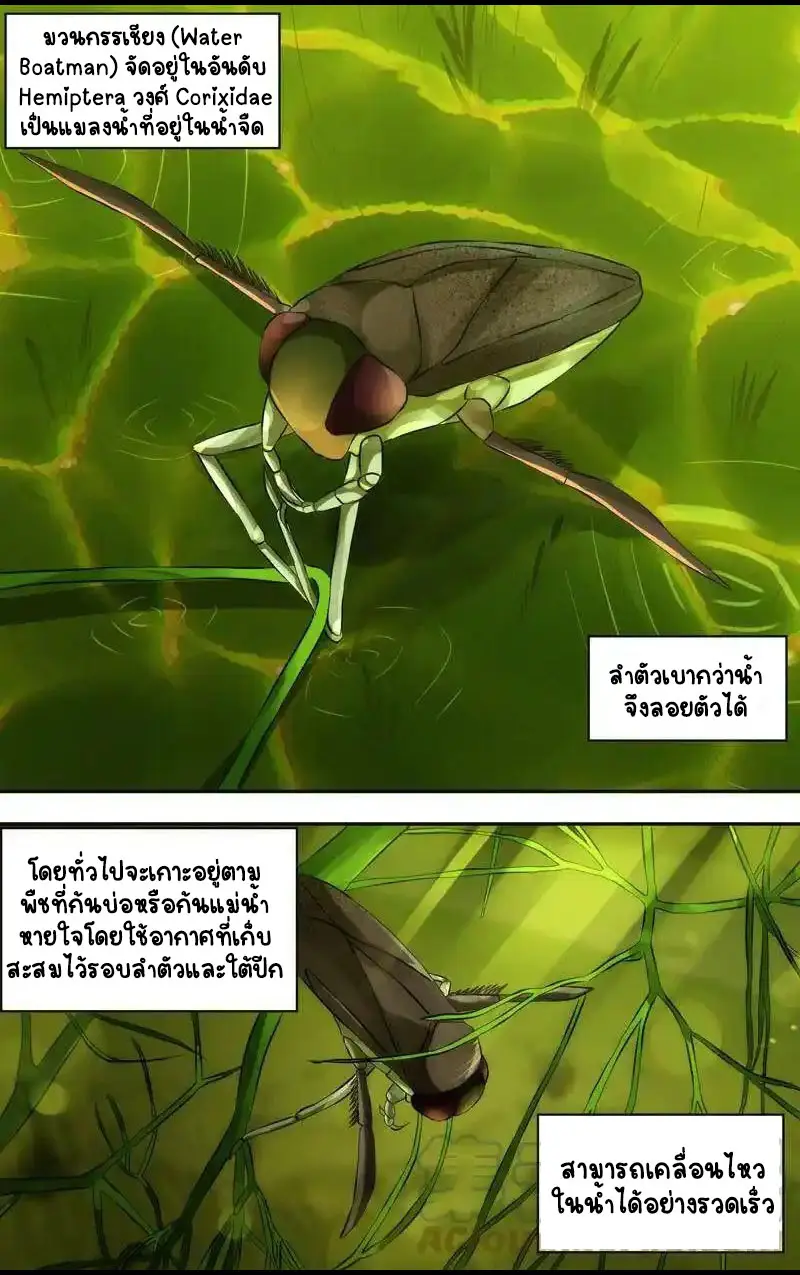  Metamorphosis ตอนที่ 29 หน้า 11