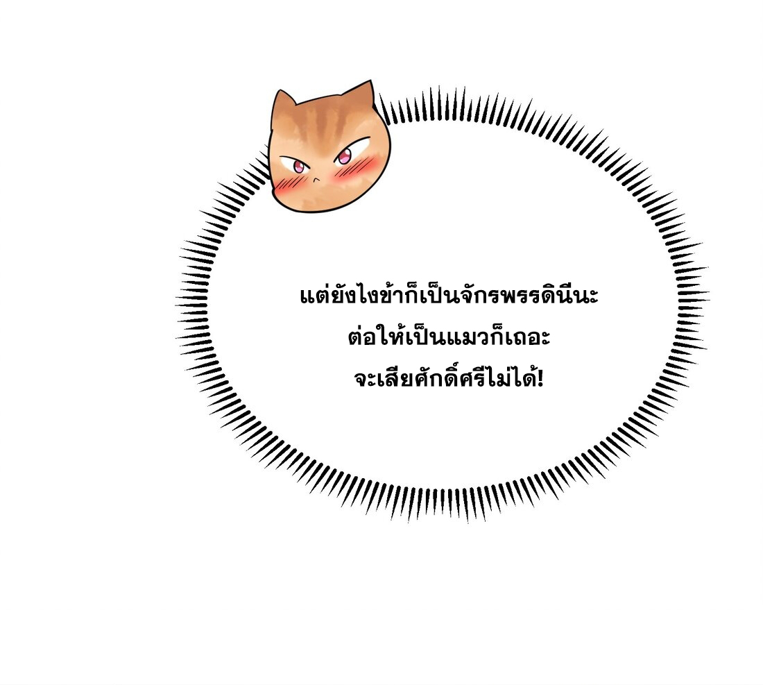 สัญญาระดับเทพ : เริ่มต้นที่แมวเหมียว ตอนที่ 12 หน้า 12