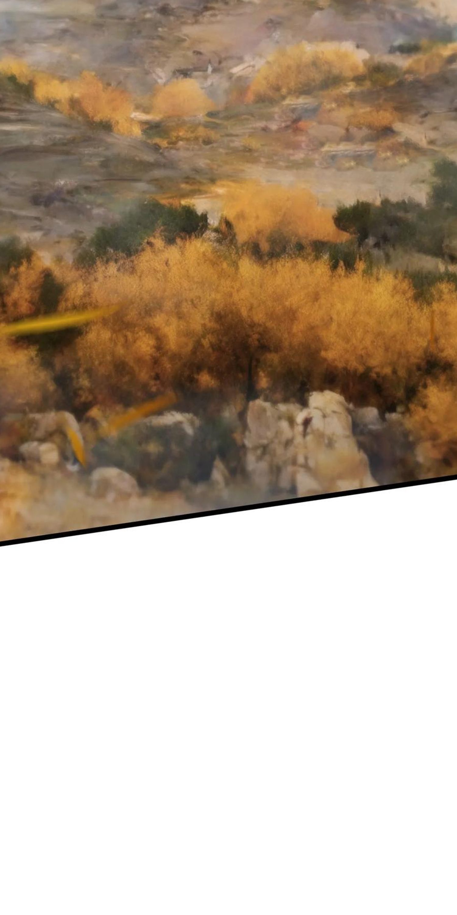 ไม่อยากเรียนทักษะ แห่งคำสาปเลย! ตอนที่ 84 หน้า 12