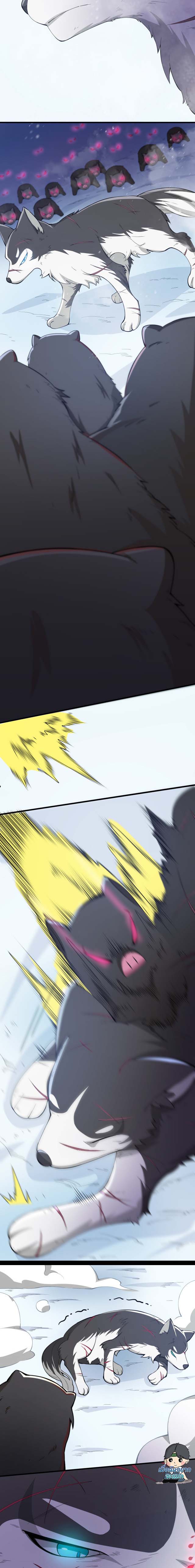 ระบบฝึกสัตว์วิญญาณหมาป่าปลอม ตอนที่ 5 หน้า 13