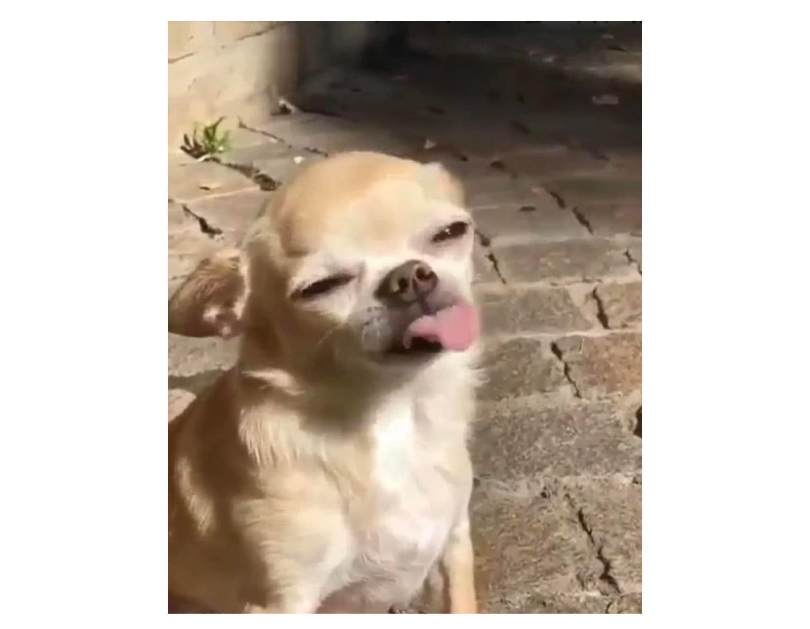 I am God ข้าคือเทพเจ้า เกิดไหม่ ตอนที่ 63 หน้า 11