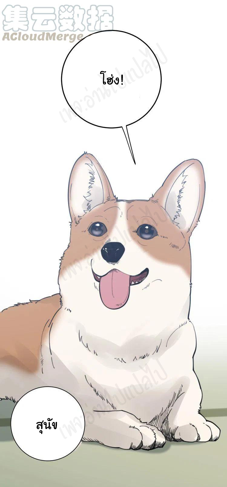 Bad Hand Witch Doctor สุดยอดพ่อมดหมอผี ตอนที่ 175 หน้า 10