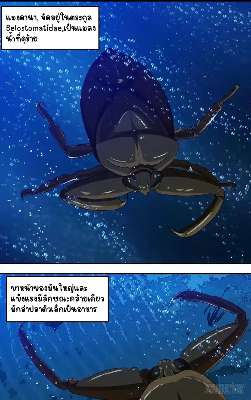  Metamorphosis ตอนที่ 29 หน้า 6