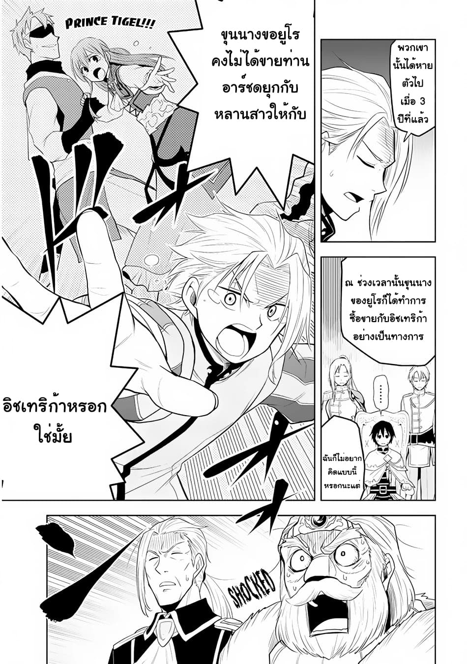 ผมจะกลืนกินหินเวทย์และกลายเป็นผู้ที่แข็งแกร่งที่สุด ตอนที่ 27 หน้า 13
