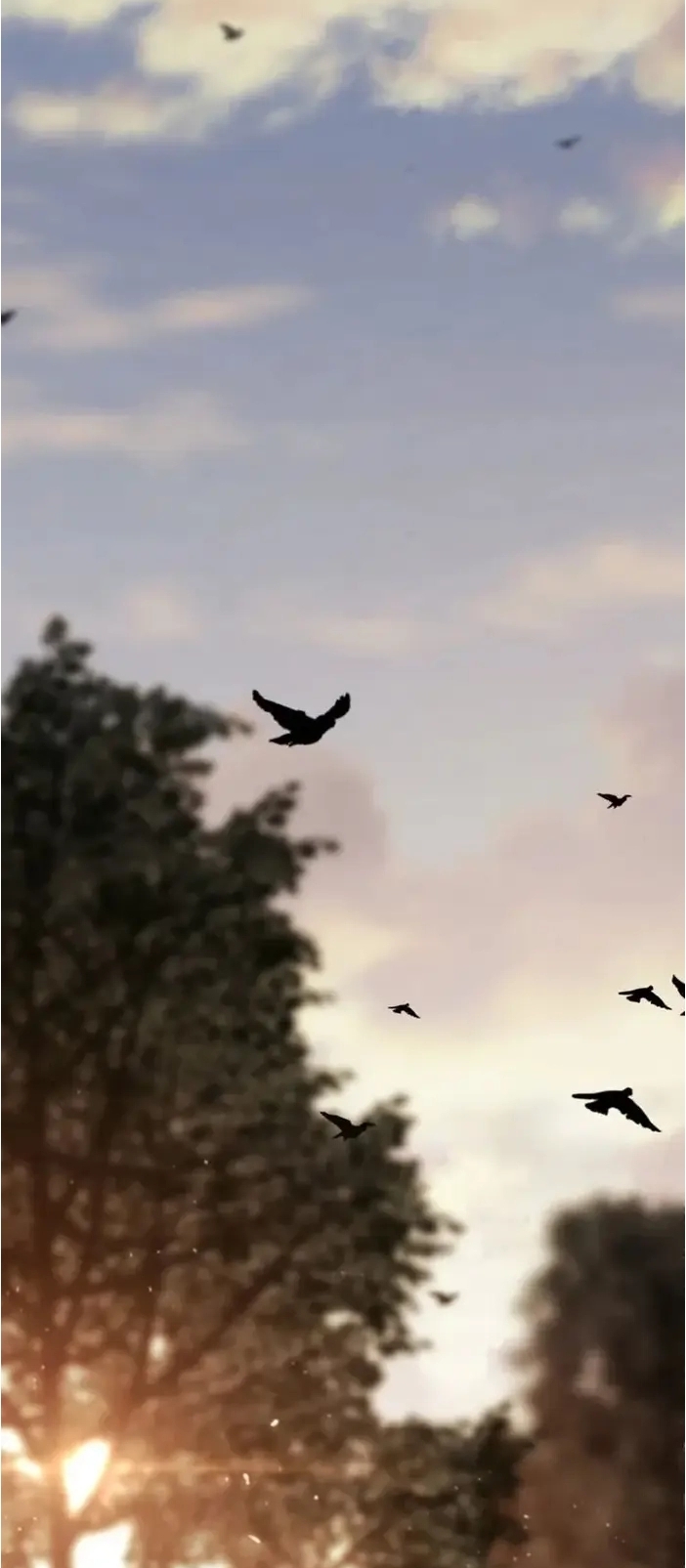 การหวนคืนของศิษย์ราชันแห่งยุทธภพ ตอนที่ 2 หน้า 2