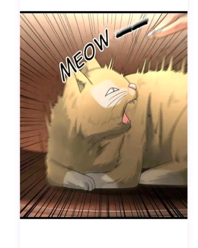 ฉันมีเซฟเฮาว์ในวันโลกาวินาศ ตอนที่ 172 หน้า 21