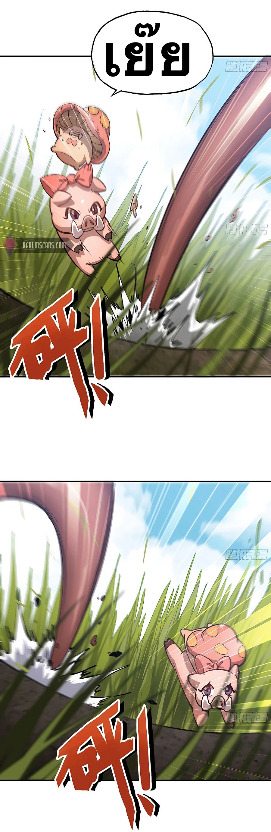 Mushroom Hero ตอนที่ 13 หน้า 5