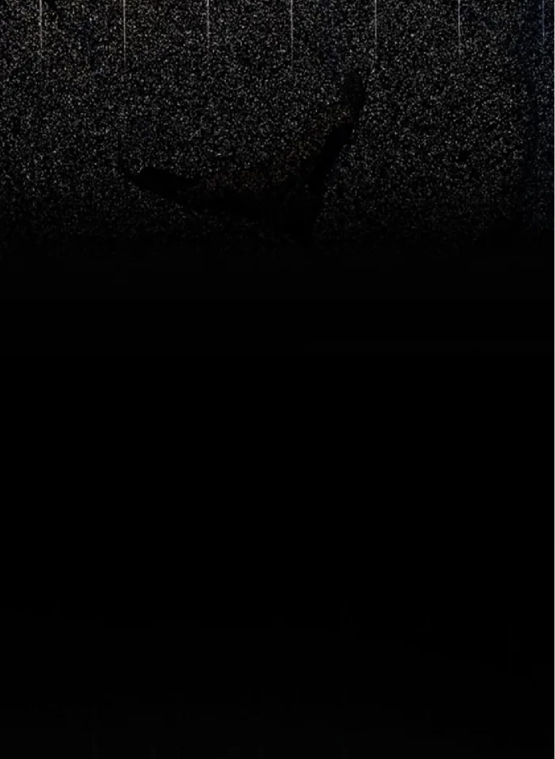 ปรมาจารย์สัตว์ร้าย ตอนที่ 2 หน้า 25