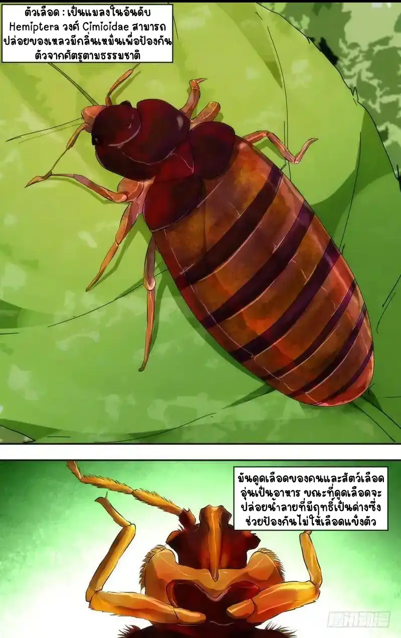  Metamorphosis ตอนที่ 49 หน้า 8