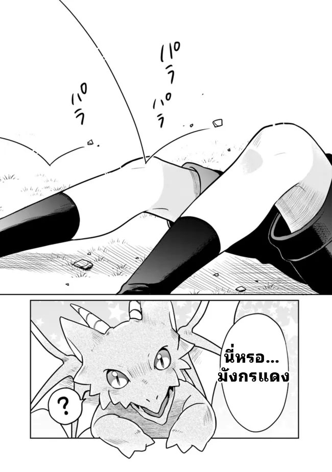 สามัญชนกลับมาเกิดใหม่เป็นขุนนางและเป็นที่รักของทุกสิ่งพร้อมกับพลังสุดเทพ ตอนที่ 1 หน้า 19