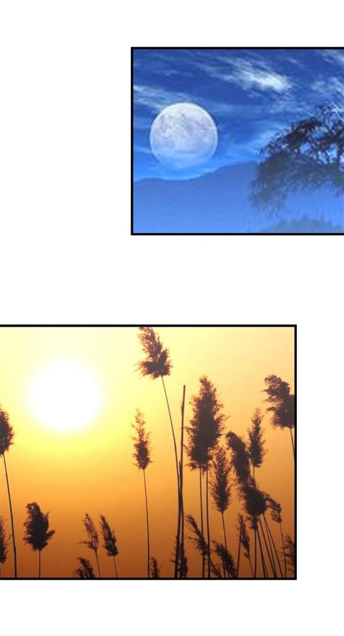 อยู่ดีดีผมก็เป็นลูกเขยราชามังกร ตอนที่ 74 หน้า 17