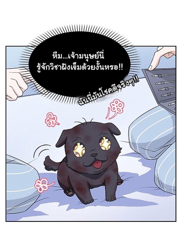 ระบบคนบ้าสุดแกร่ง ตอนที่ 21 หน้า 19