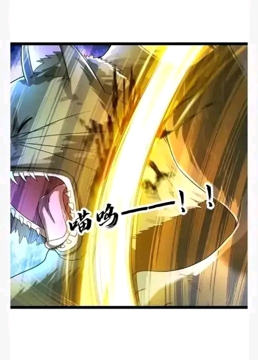 ฉันมีเซฟเฮาว์ในวันโลกาวินาศ ตอนที่ 154 หน้า 4