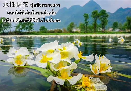 Immortal Swordsman in The Reverse World ข้าเซียนกระบี่ไม่เกาะสตรี ตอนที่ 59 หน้า 31