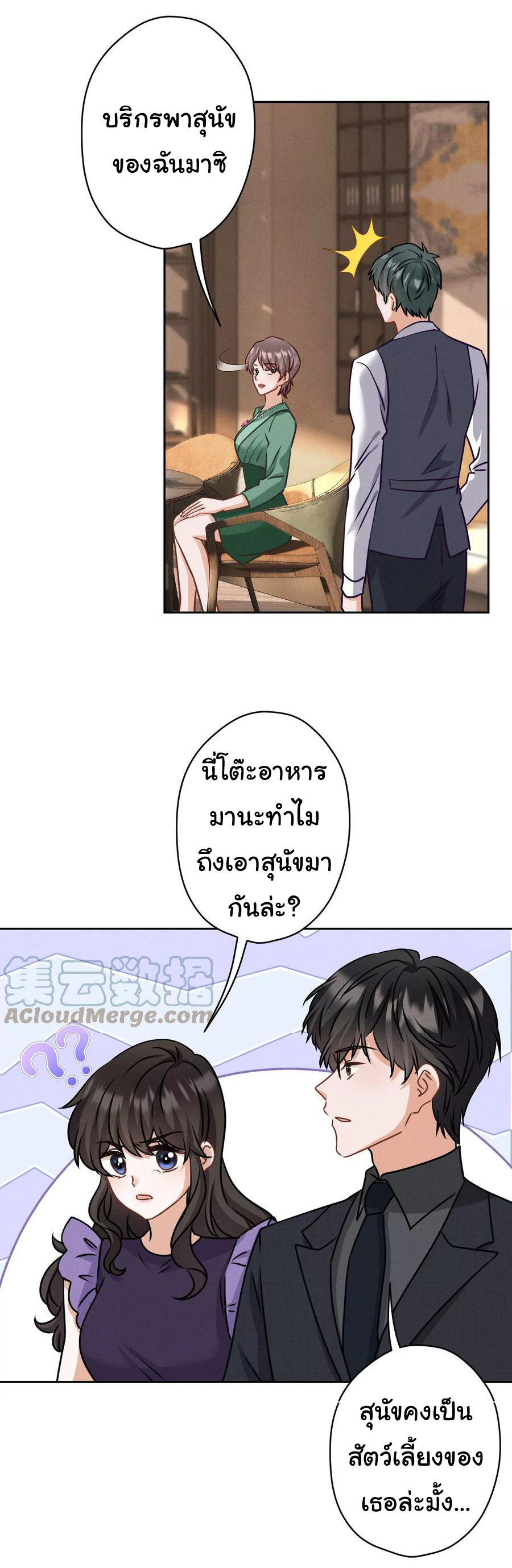 Lu Feng is the best son-in-law สุดยอดลูกเขย "ลู่เฟิง" ตอนที่ 161 หน้า 13