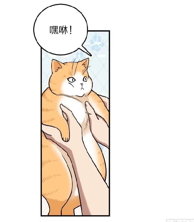 ภรรยาของผมเป็นเทพเซียนที่อยู่มานับพันปี ตอนที่ 12 หน้า 13