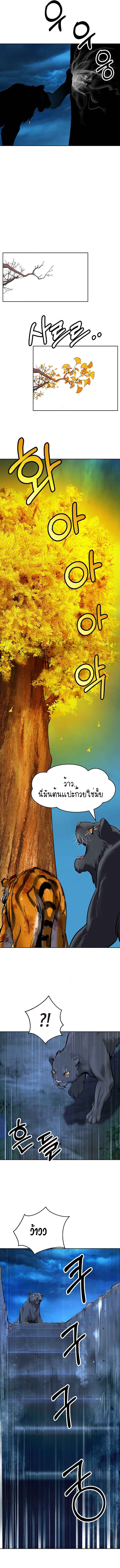 2.เรื่องราวการกลับชาติมาเกิดของ เสือน้อยโฮกปิ๊บ ตอนที่ 14 หน้า 11