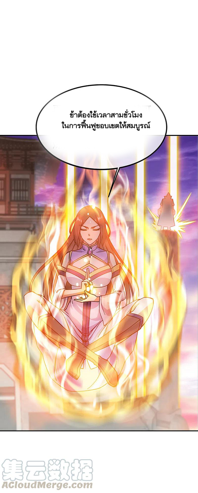 peerless battle spirit ตอนที่ 317 หน้า 29