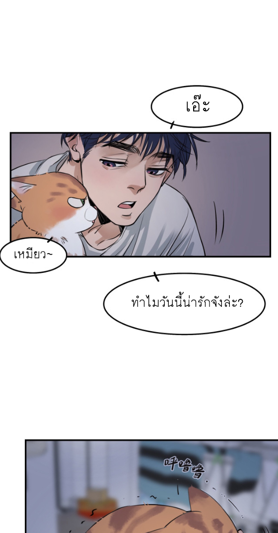 นี่เจ้าเหมียวคิดอะไรอยู่นะ?(Bl) ตอนที่ 5 หน้า 21