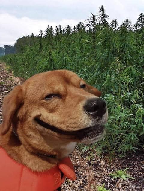 เทพวายร้ายกลับชาติมาเกิดใหม่ ตอนที่ 145 หน้า 31