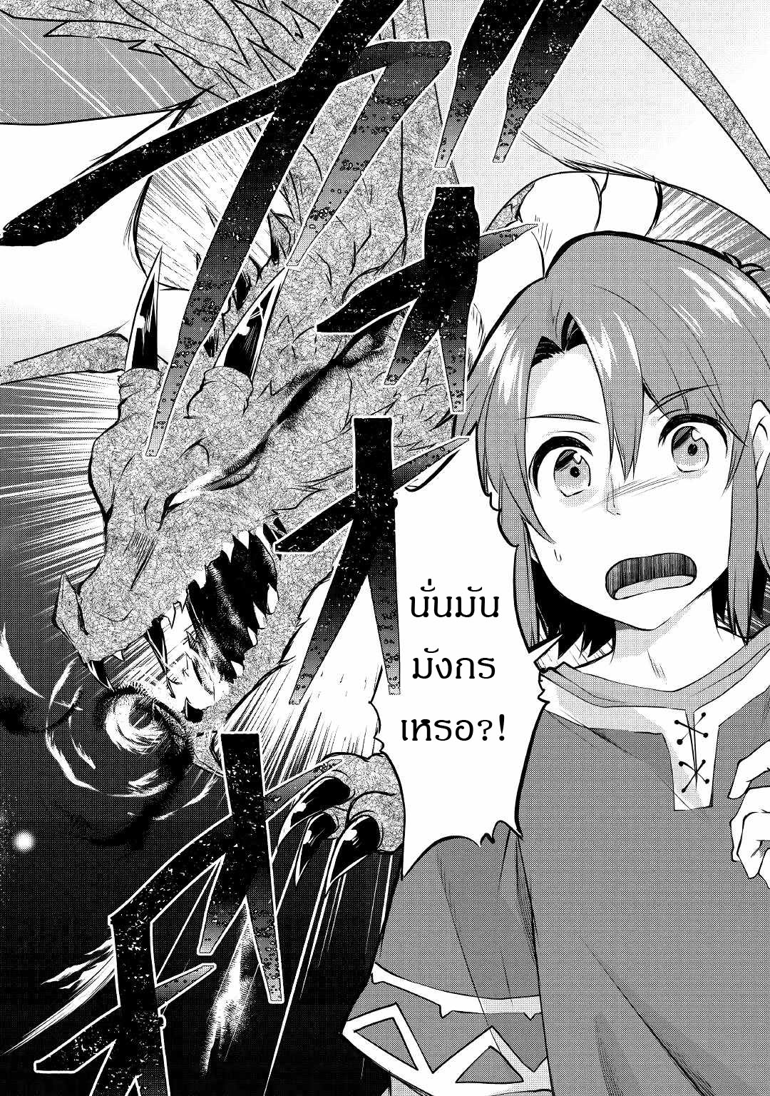 ผู้ครอบครองสกิลไม่จำกัด(Infinite skill getter) ตอนที่ 1 หน้า 19