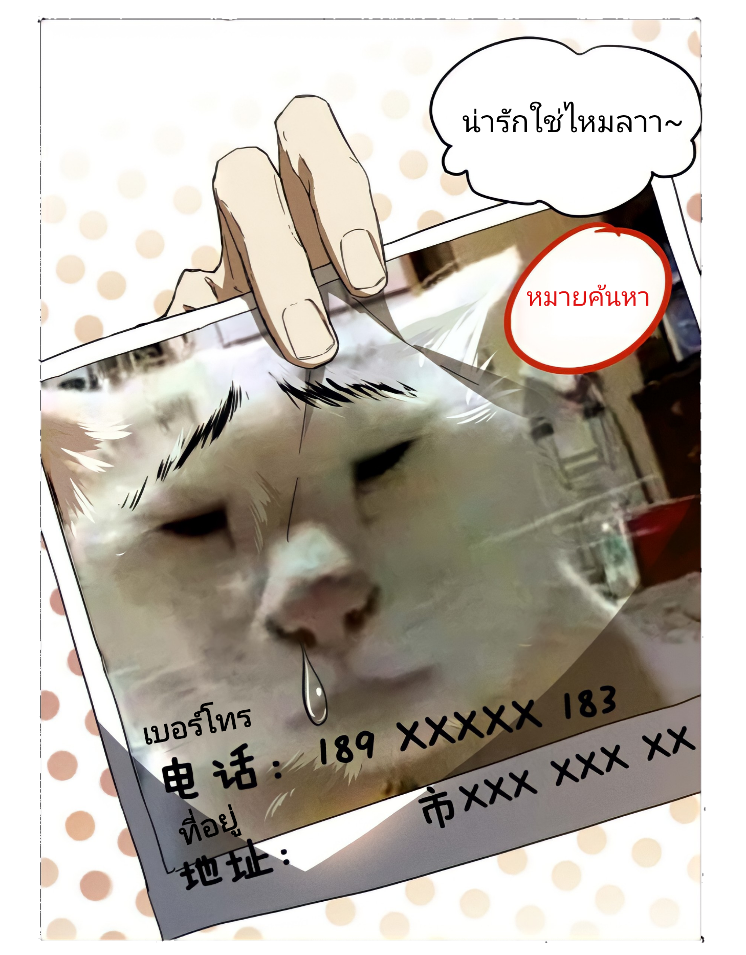 สวรรค์นภาหมื่นบรรพกาล ตอนที่ 8 หน้า 10