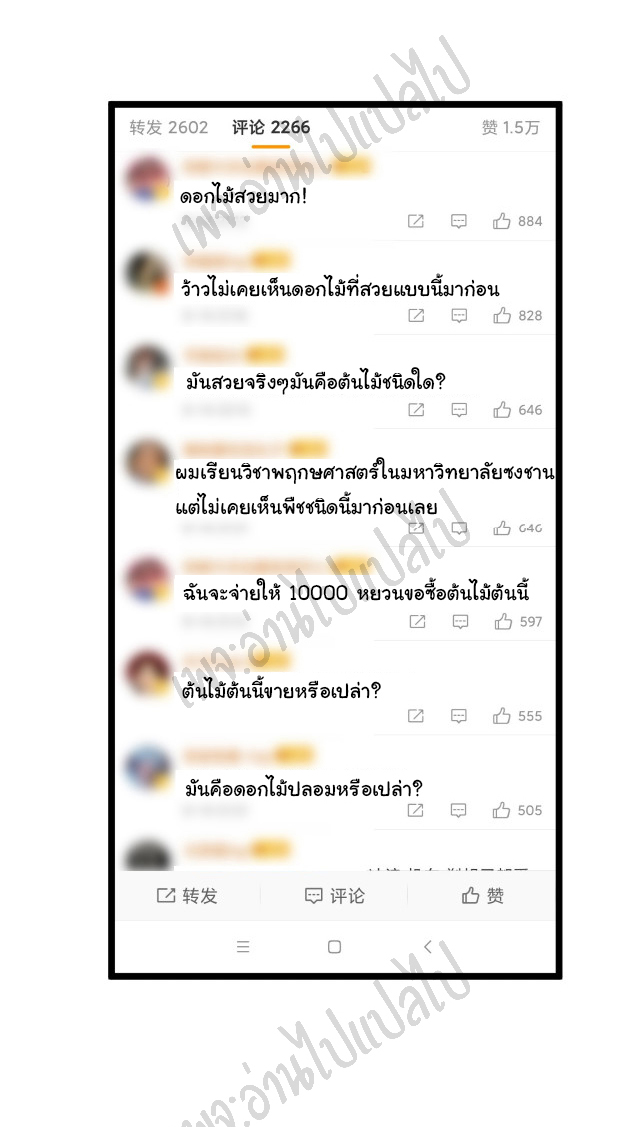 Sanjie Taobao Store ระบบร้านค้าเทพเจ้า ตอนที่ 150 หน้า 31