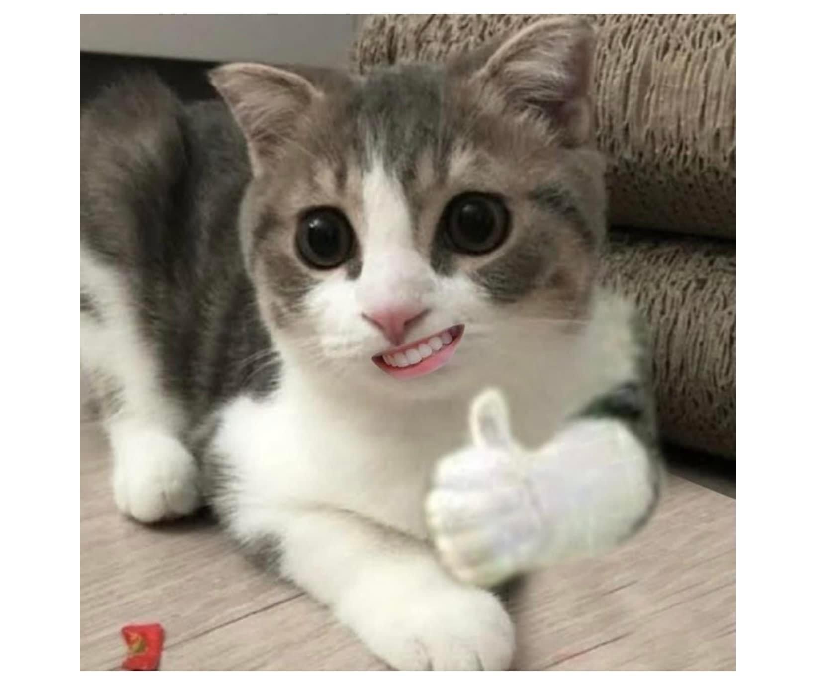 I am God ข้าคือเทพเจ้า เกิดไหม่ ตอนที่ 65 หน้า 10