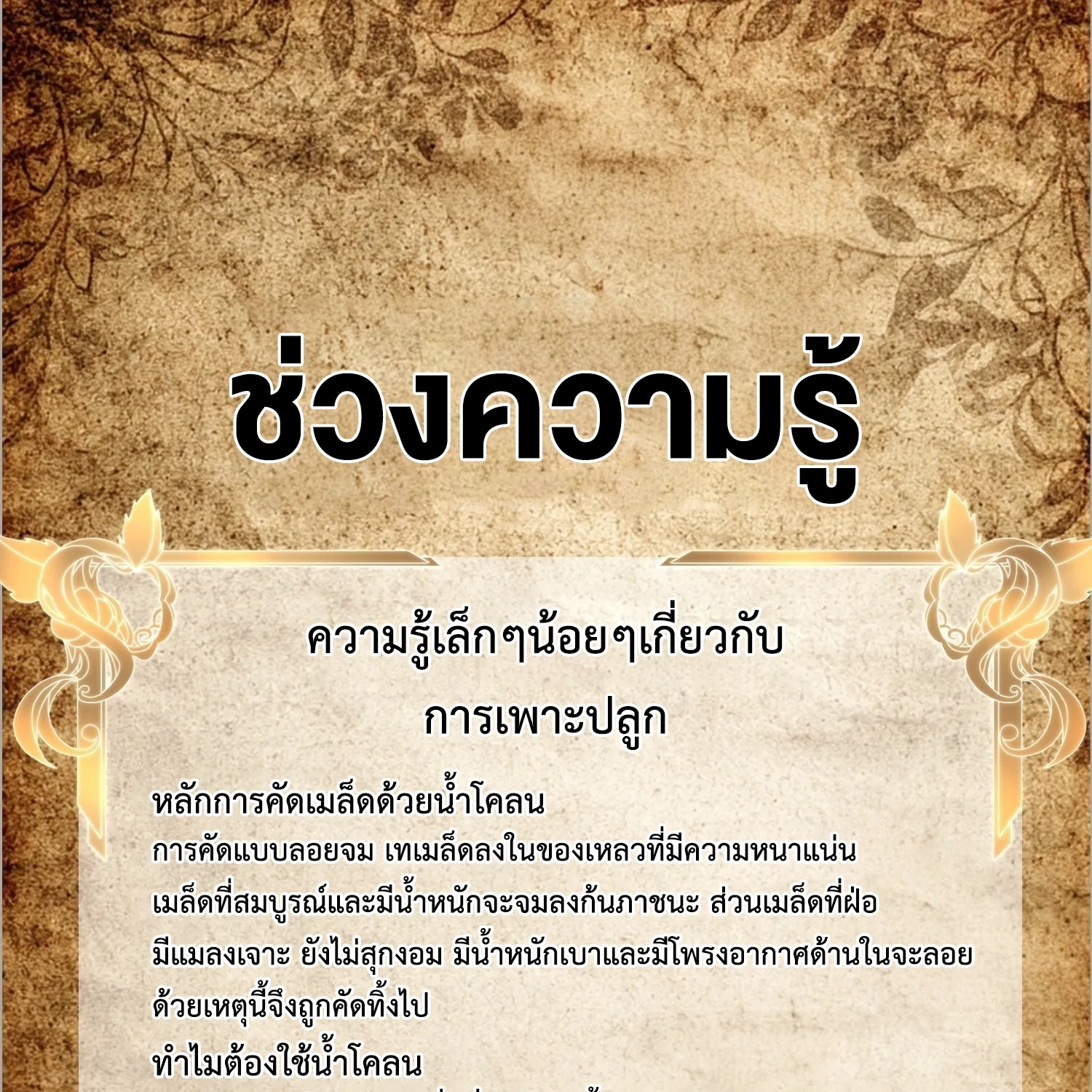 ถูกส่งไปทำไร่นา แต่กลับกลายเป็นจักรพรรดิแห่งจักรวรรดิซะงั้น? - I Just Wanted You to Farm, How Did You Become Emperor of an Empire? ตอนที่ 6 หน้า 61