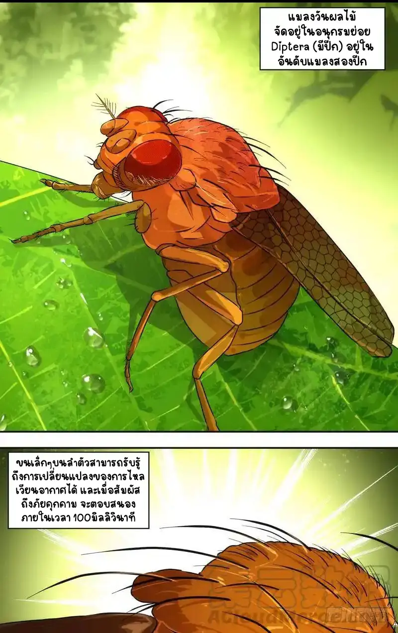  Metamorphosis ตอนที่ 46 หน้า 9