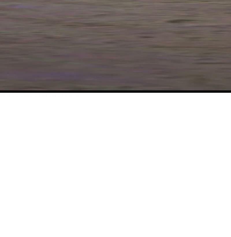 ชีวิตอันสันโดษของจักพรรดิ์หลินเกอ ตอนที่ 219 หน้า 56