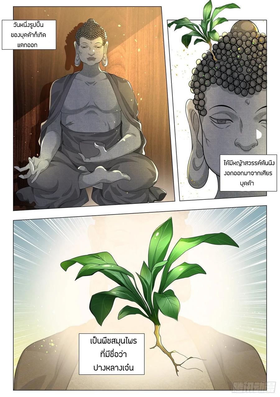 Divine Hero’s Skyfall System ตอนที่ 157 หน้า 11