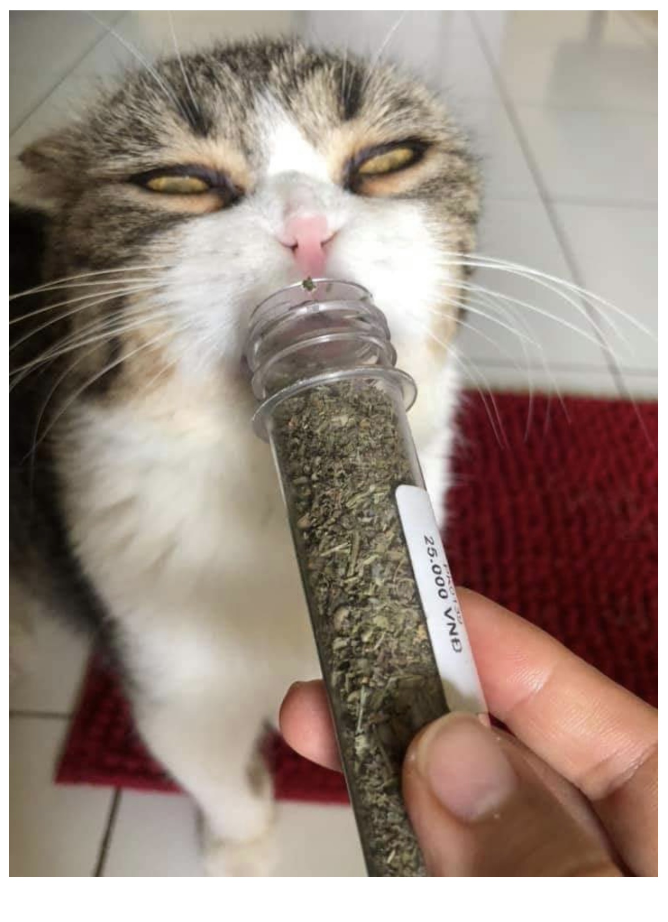 หลุดเข้ามาในเกมกลายเป็นมอนสเตอร์ที่อ่อนแอที่สุดสะงั้น ตอนที่ 31 หน้า 15