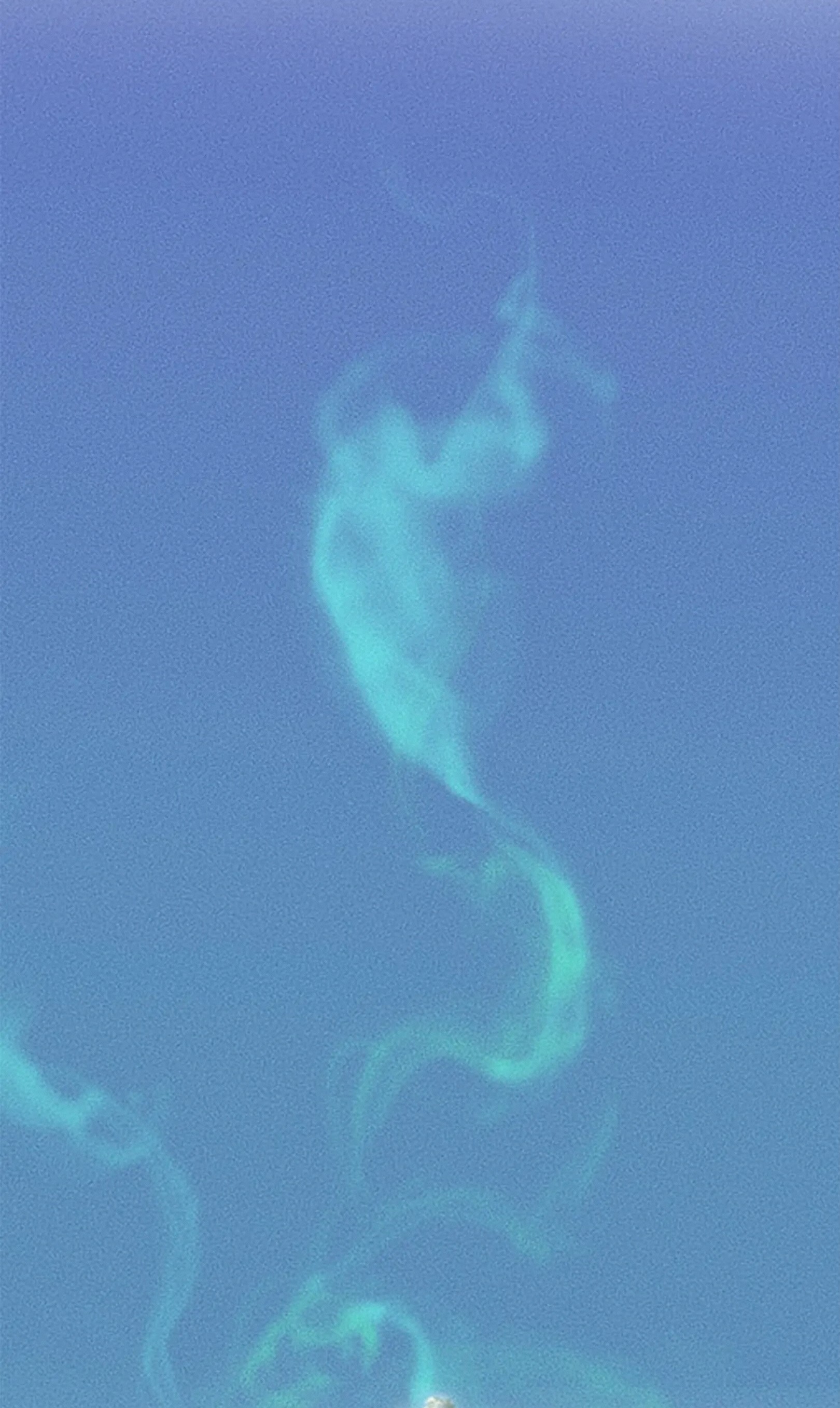 ปู้เทียนเกอ ลำนำแห่งผู้ล่องนภา ตอนที่ 11 หน้า 14