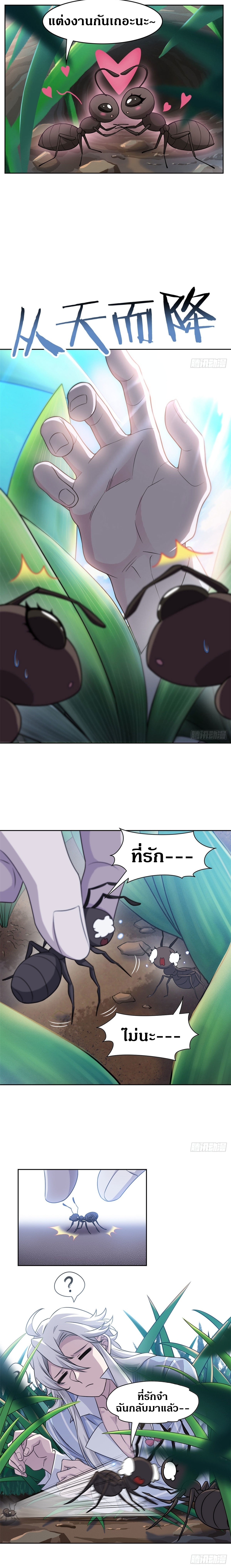 ชายผู้แข็งแกร่งที่ออกมาจากโรงพยาบาลจิตเวช ตอนที่ 41 หน้า 7