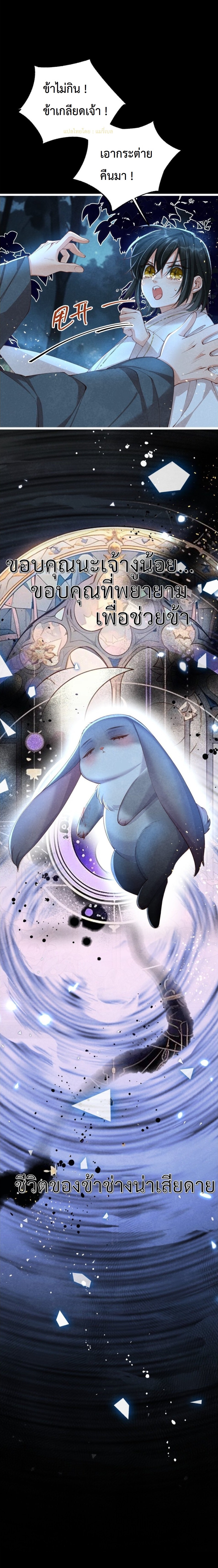 เส้นทางเอาชีวิตรอดของบรรณาการ ตอนที่ 9 หน้า 11