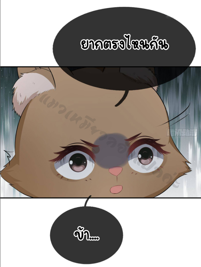 ให้ตายข้าก็จะไม่เป็นอาจารย์ ตอนที่ 77 หน้า 6