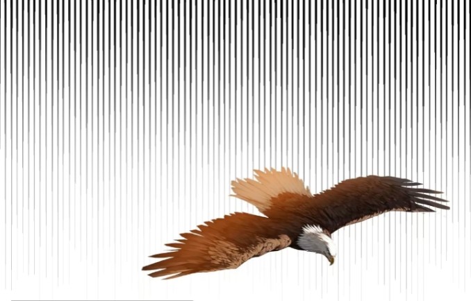 ถึงข้าจะแค่ขั้นสร้างรากฐาน แต่ข้าก็เทพ ( อัพตอนใหม่ทุกวัน เสาร์ ) กลุ่มชนแล้ว ตอนที่ 1 หน้า 15