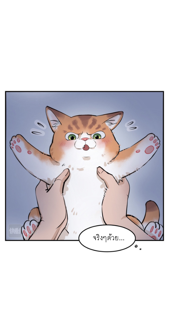 นี่เจ้าเหมียวคิดอะไรอยู่นะ?(Bl) ตอนที่ 5 หน้า 24