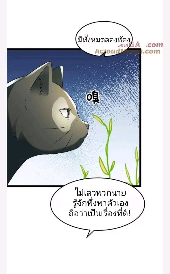 ฉันมีเซฟเฮาว์ในวันโลกาวินาศ ตอนที่ 214 หน้า 5