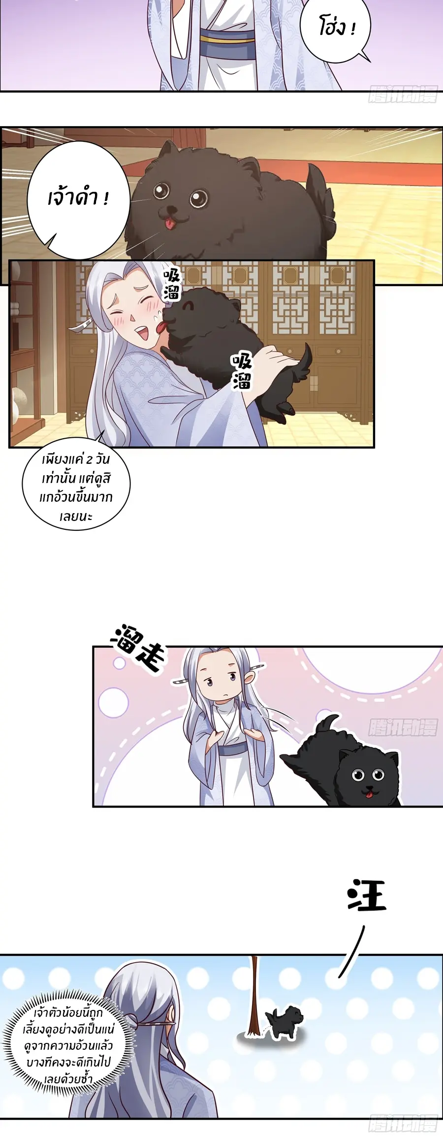 ข้าต้องแต่งงานกับจ้าวแห่งพรรคมาร ตอนที่ 11 หน้า 5