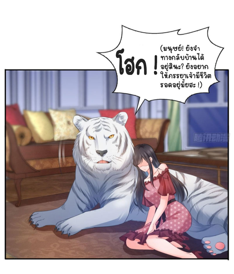 (ชนจีน)Perfect Secret Love The Bad New Wife Is a Little Sweet ตอนที่ 67 หน้า 4