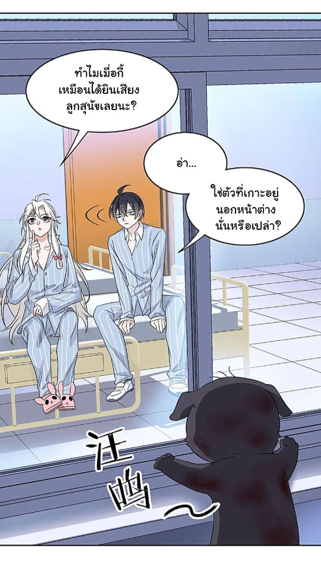 ระบบคนบ้าสุดแกร่ง ตอนที่ 21 หน้า 13