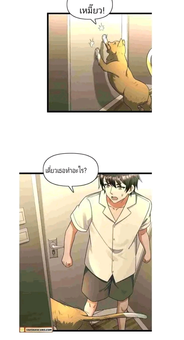 ฉันมีเซฟเฮาว์ในวันโลกาวินาศ ตอนที่ 180 หน้า 6