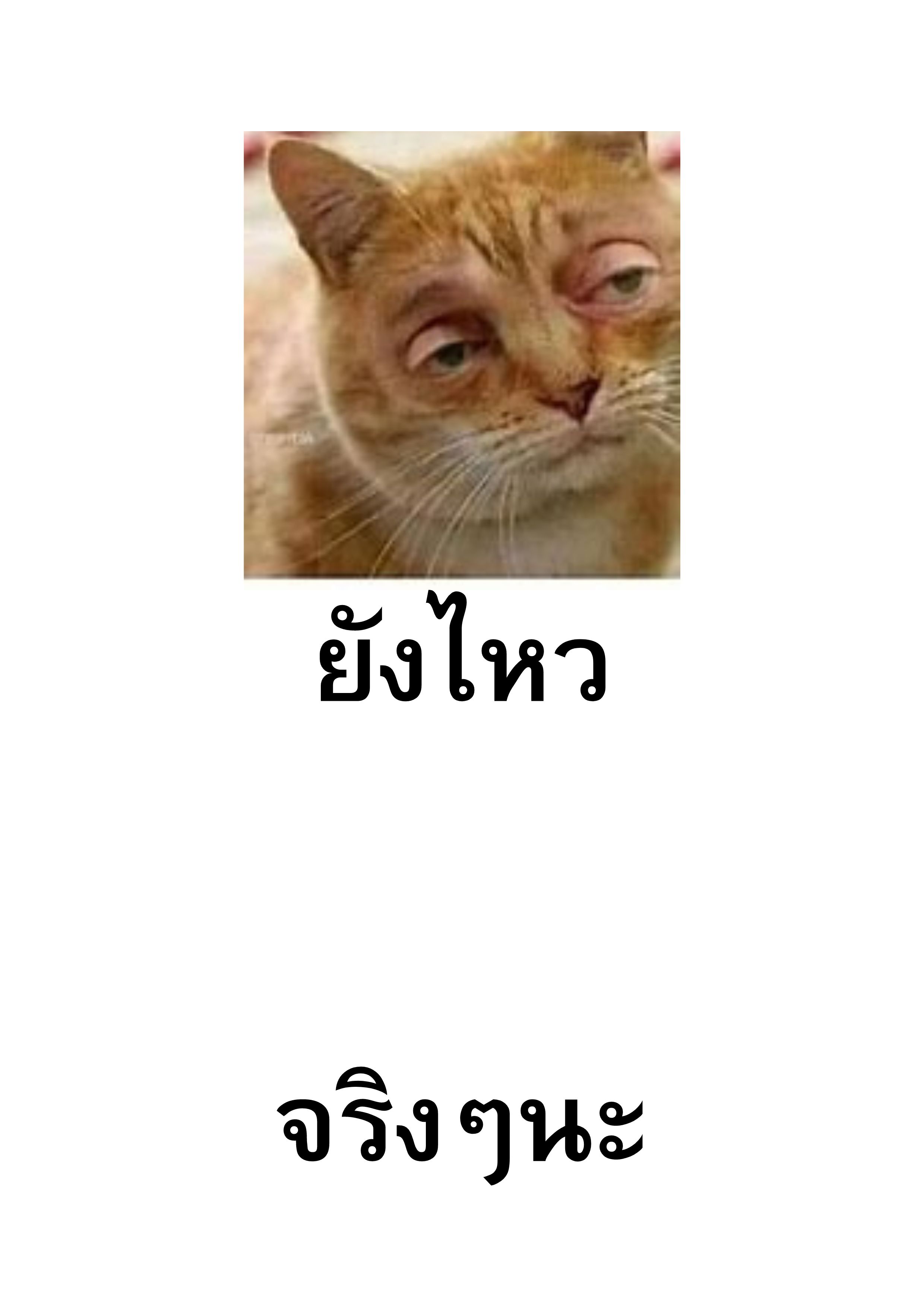 The Supreme Way ตอนที่ 76 หน้า 14