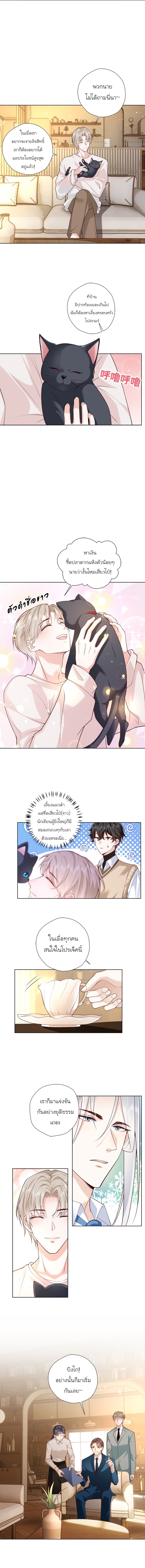 เขาให้มากเกินไปแล้วจริงๆ (BL) ตอนที่ 11 หน้า 3