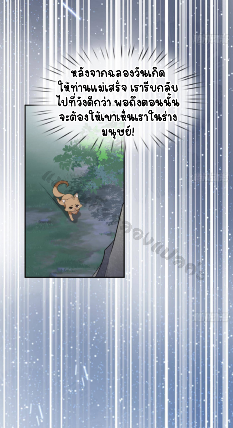 ให้ตายข้าก็จะไม่เป็นอาจารย์ ตอนที่ 76 หน้า 6