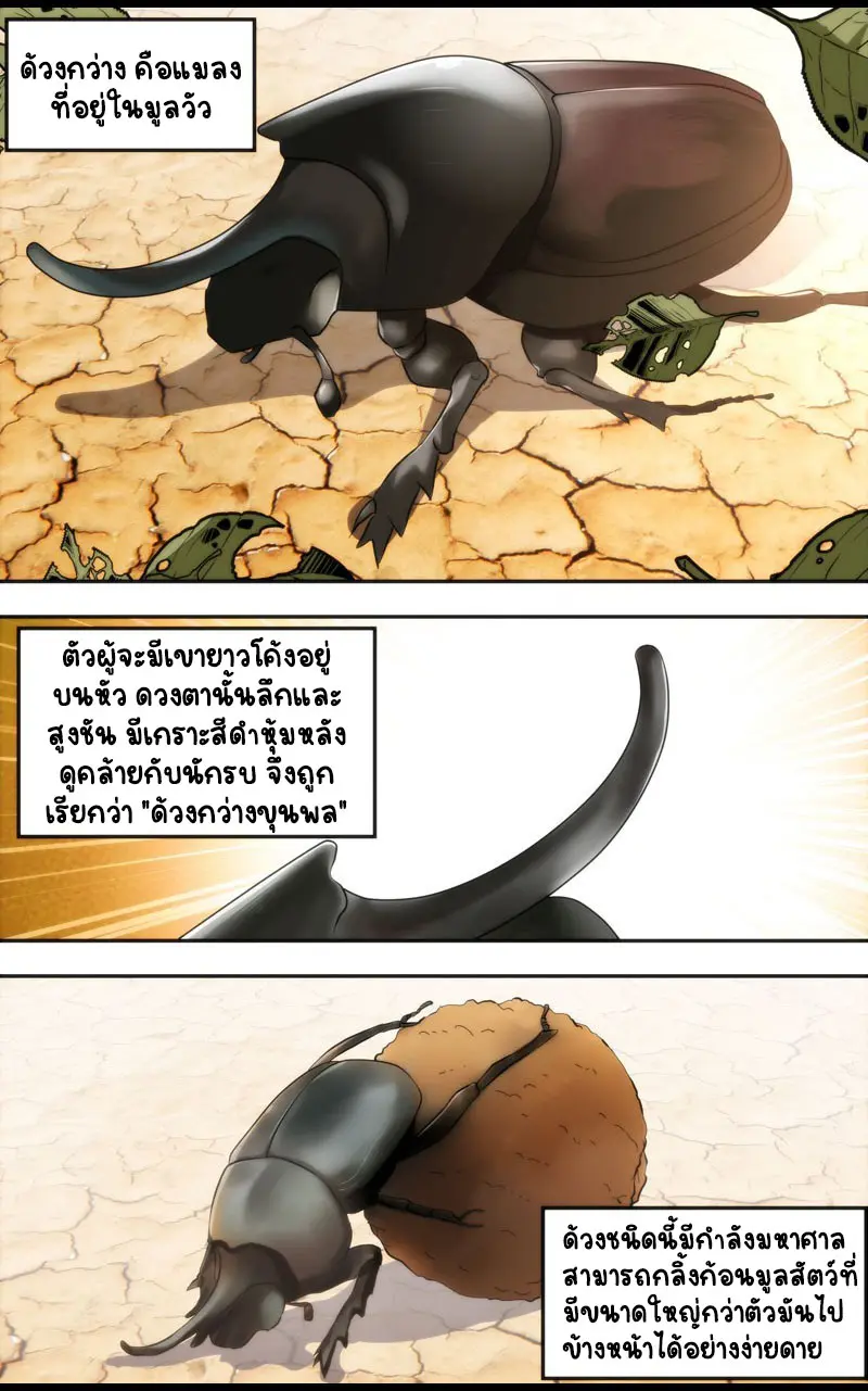  Metamorphosis ตอนที่ 11 หน้า 9