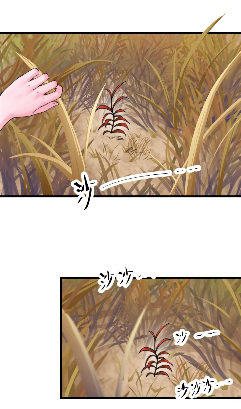 I'm longlife 9000 years old ตอนที่ 12 หน้า 19