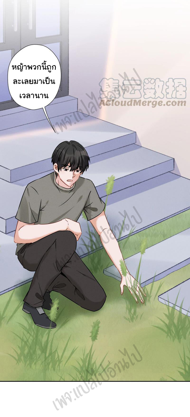 Lu Feng is the best son-in-law สุดยอดลูกเขย "ลู่เฟิง" ตอนที่ 93 หน้า 11